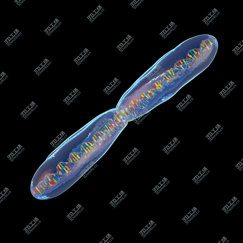 images/goods_img/20210313/Microscopic Collection/4.jpg